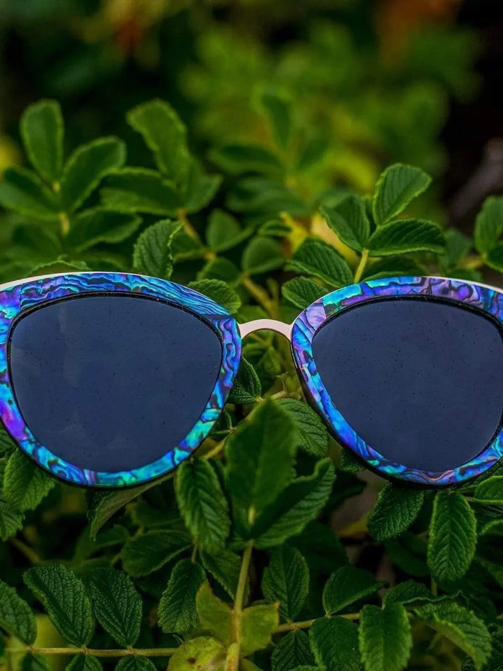 SLYK shades - BOMBSHELL ABALONE